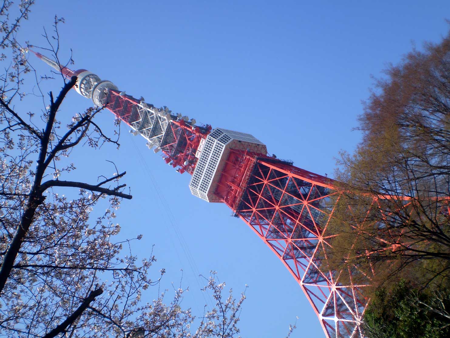 上京報告その2_f0090602_11494310.jpg