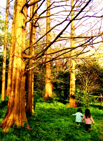 c0081503_1252868.jpg