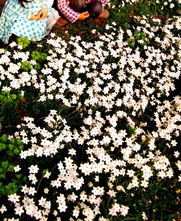 c0081503_1254152.jpg