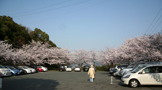 散歩道_f0054904_19251164.jpg