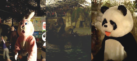 夜の動物園に行きました。_f0083904_1833288.jpg