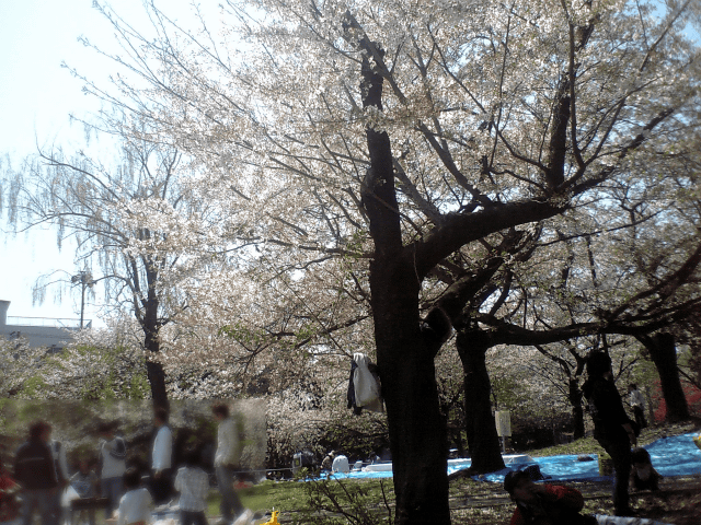 a0006605_21484671.gif