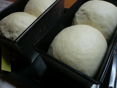 4月5日(土) 白神こだまパンコース_d0138307_21542854.jpg