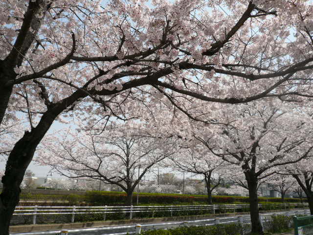 e0094407_23515029.jpg