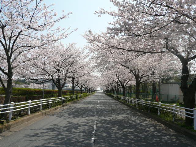 e0094407_2354164.jpg