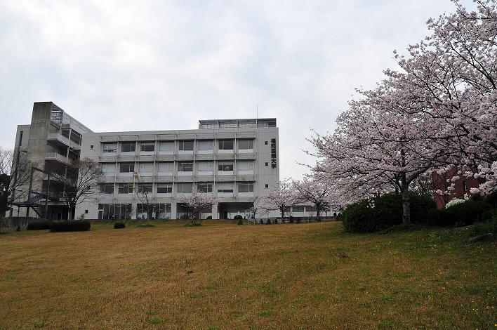 福女短・福国大の桜_a0042310_16314184.jpg