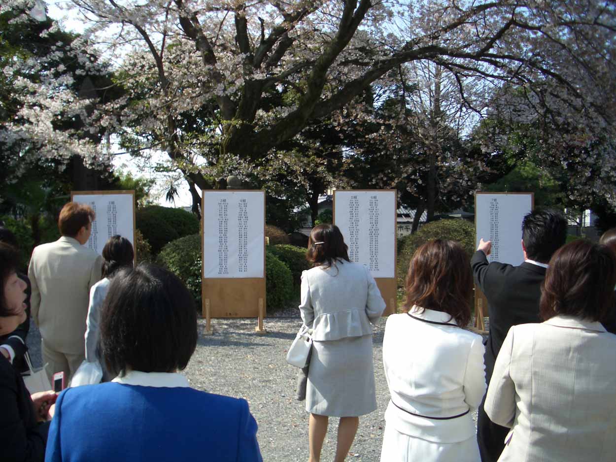 サクラ満開の下で小中学校の入学式_f0141310_2221341.jpg