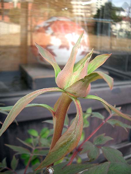 e0034012_21534451.jpg