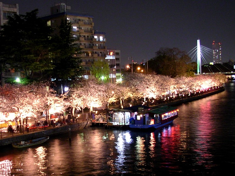 a0001020_20403928.jpg