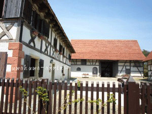 f0155120_99148.gif