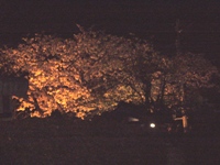 c0133422_0531332.jpg