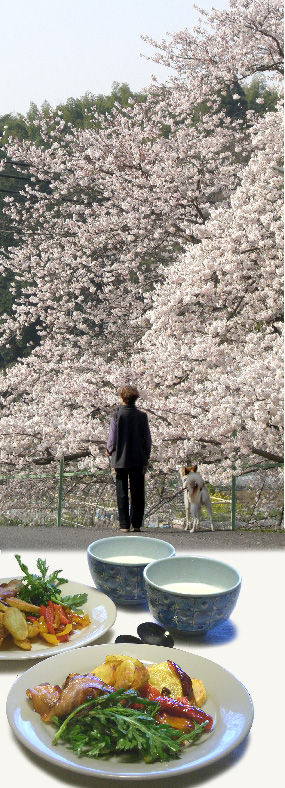 お花見さんぽ_d0043225_22321429.jpg