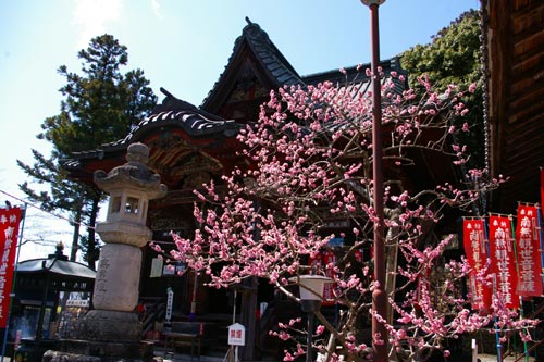 秩父札所一番　誦経山　 四萬部寺　（栃谷）_e0062530_17593391.jpg