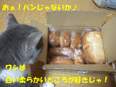 f0008935_1511846.gif