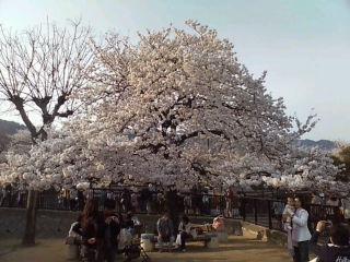 動物園（昼）_a0022038_8192099.jpg