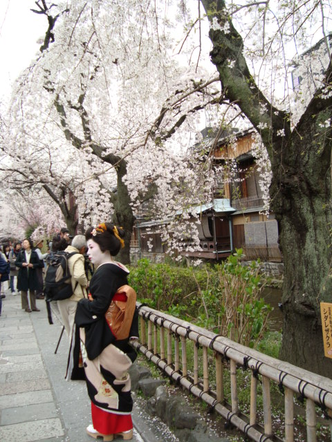 祇園　小森 ~Gion~_e0120938_2222532.jpg