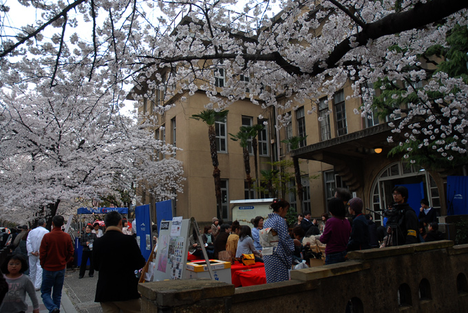 第22回高瀬川　桜　まつり　vol2_c0074640_23551186.jpg