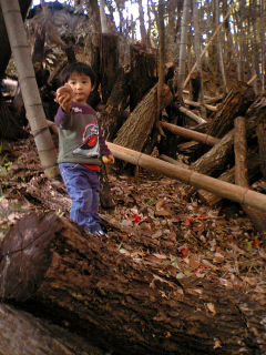 f0149741_2255981.jpg