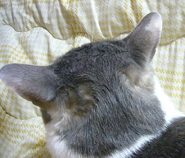 本日も晴天なり_f0002743_10194810.jpg