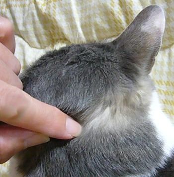本日も晴天なり_f0002743_10205368.jpg