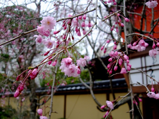 とうふ屋うかい／芝公園_d0023346_10374518.jpg