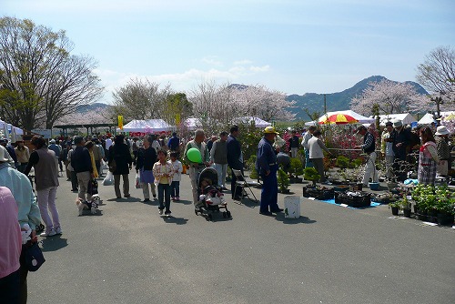 三島市みどり祭り_c0087349_5545625.jpg