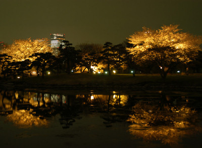 a0034054_2358598.jpg
