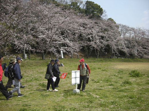 2008年春、「歩かんね太宰府」の始まりです！！_c0125356_23274345.jpg