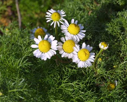 e0130657_2152677.jpg