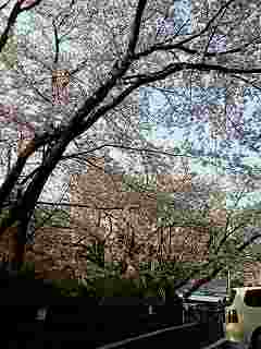 f0043861_19443576.jpg