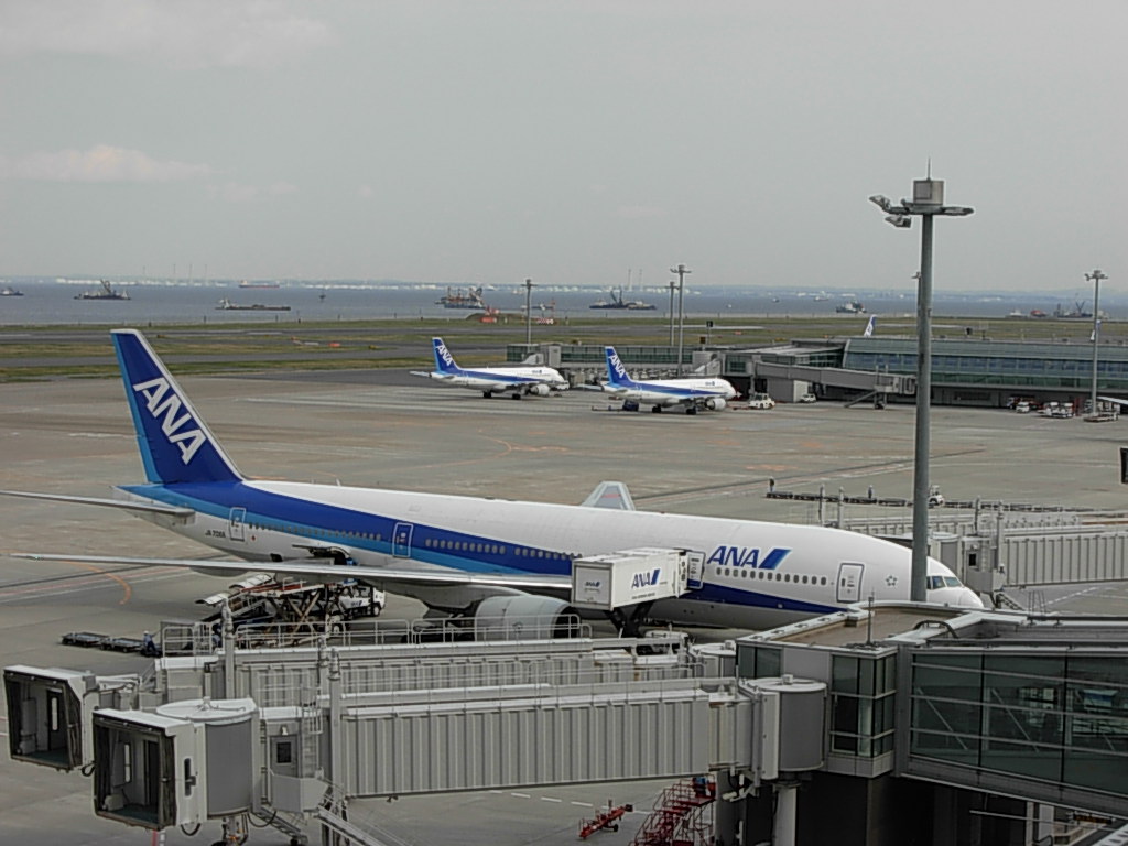 d0048366_681572.jpg