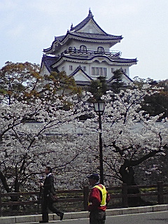 岸和田のお城祭り＆桜♪_e0136066_1783540.jpg