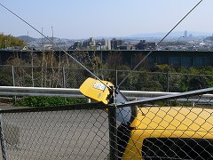 b0042882_15492128.jpg