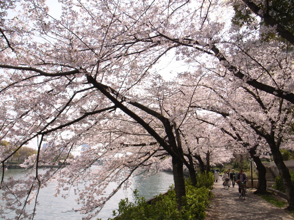 c0015099_23212447.jpg