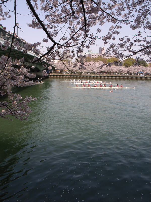 c0015099_2323225.jpg