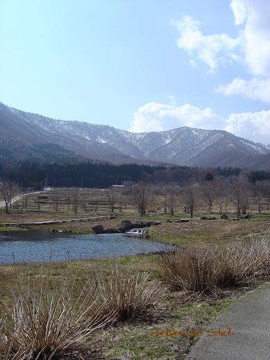d0087503_14254291.jpg