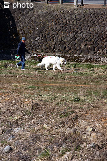 Spring has come！！！ @ 飛騨高山（06/04/08）_b0061004_332966.jpg