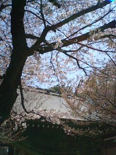 靖国神社_c0128804_23444494.jpg