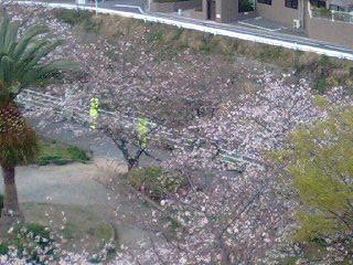 c0117106_1101555.jpg