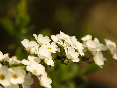 a0041508_19101314.jpg