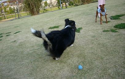 e0130008_20154344.jpg
