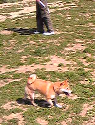 f0004309_12284639.jpg