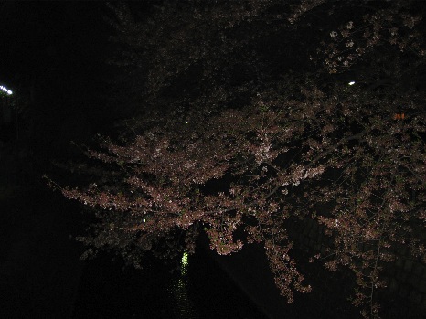 f0141609_2327850.jpg