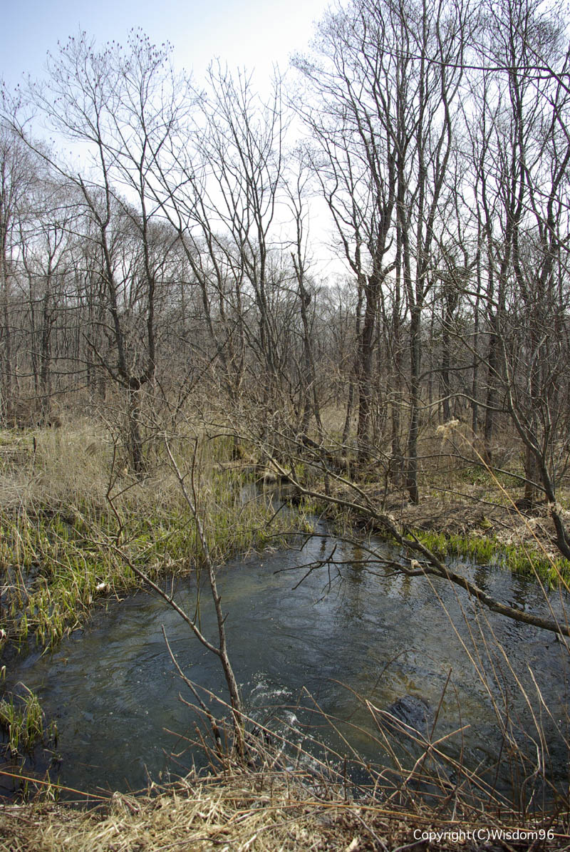 e0142611_737958.jpg