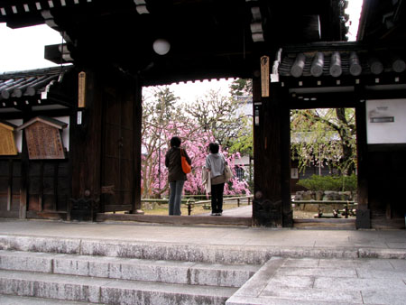 上品蓮台寺_e0048413_2114123.jpg