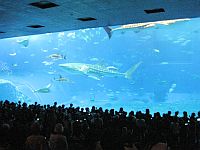 e0114015_1520398.jpg