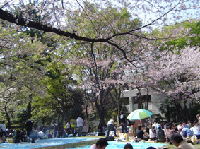 c0135618_1526873.jpg