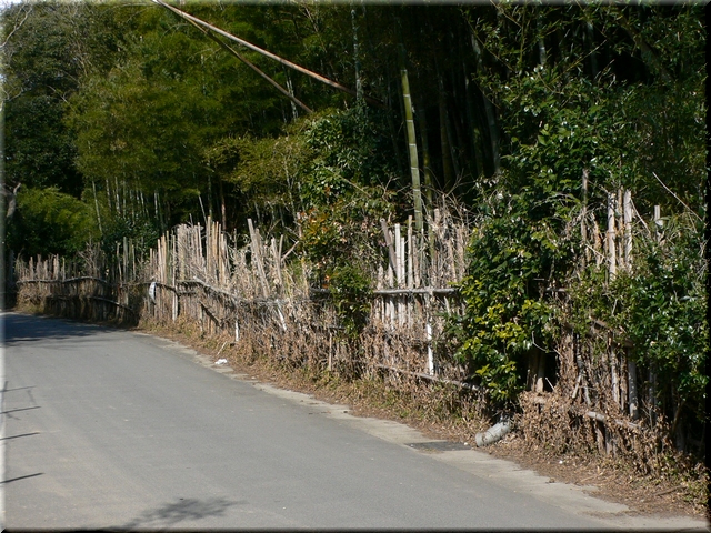 d0092026_2142505.jpg