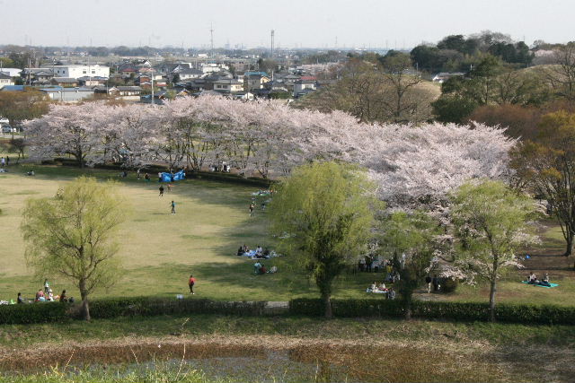 e0064133_14221.jpg