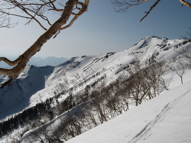 b0124139_19401836.jpg